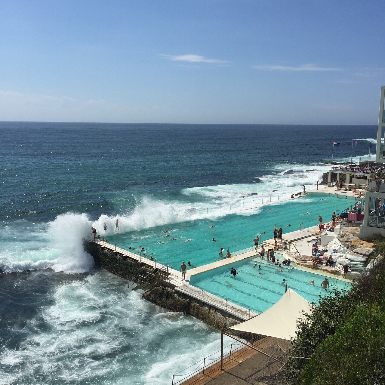 bondi beach pool coast free photo