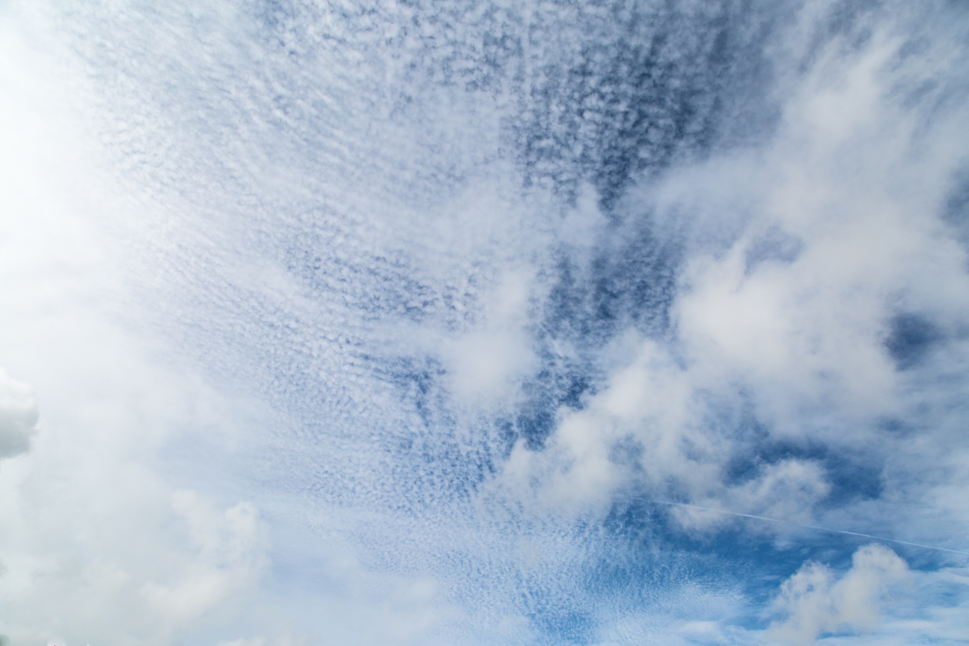 blue sky weather free photo