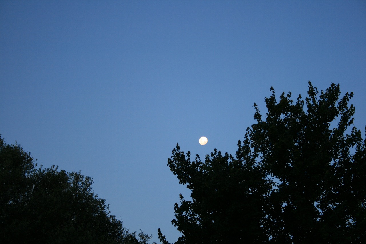 blue sky moon in the day rising moon free photo