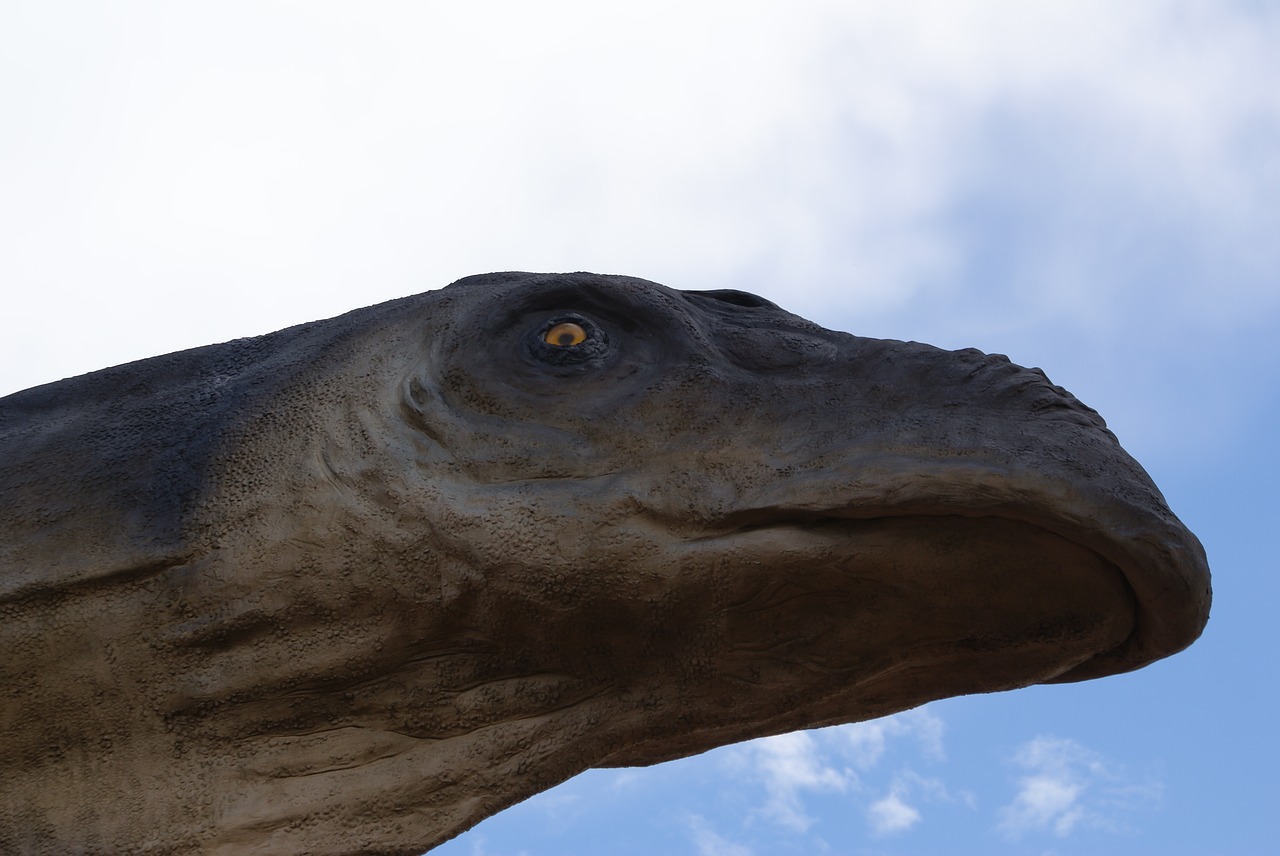 blue sky dinosaur head dinosaur free photo