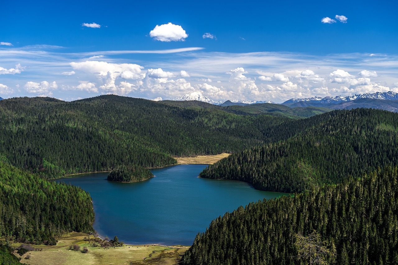 blue sky lake forest free photo