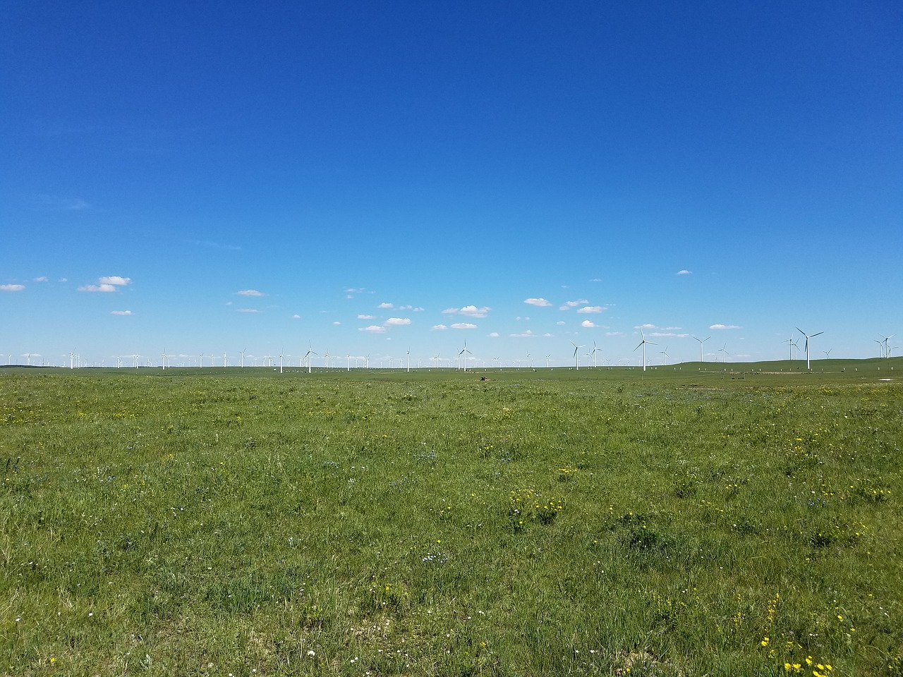 blue sky fresh air cloud free photo