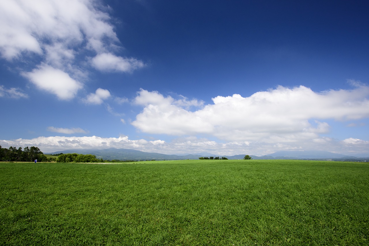 blue sky green grass free photo