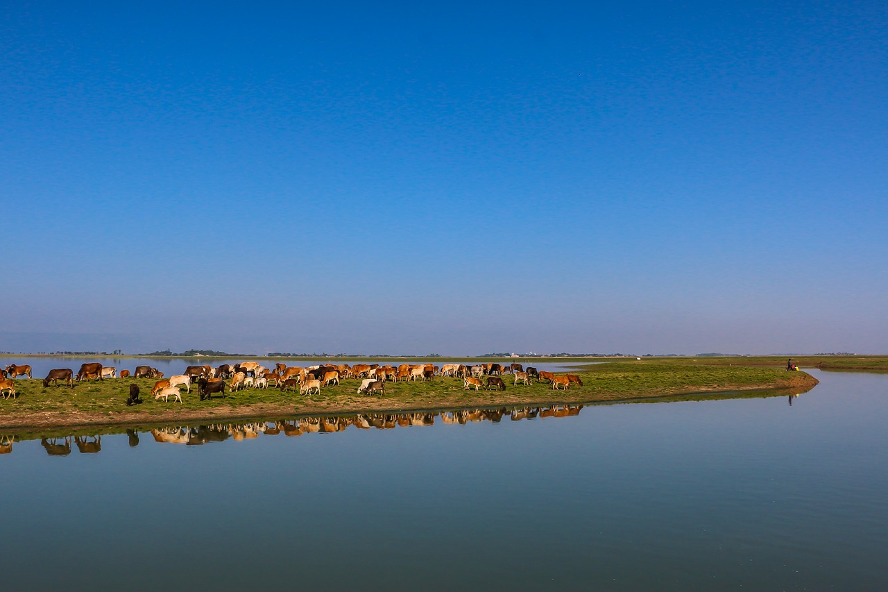 blue sky  lake  blue free photo