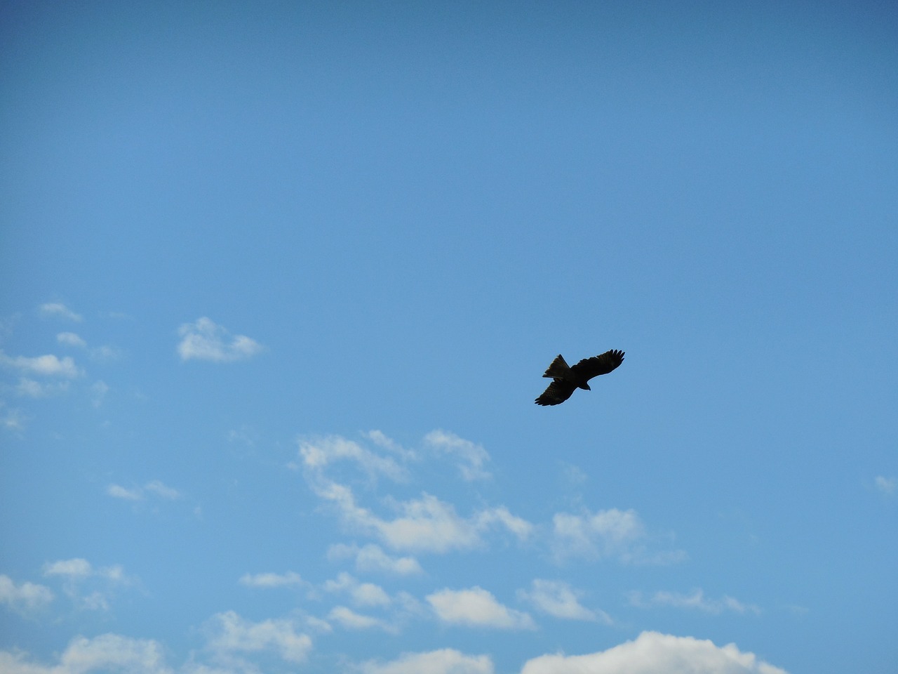 blue sky cloud clear skies free photo