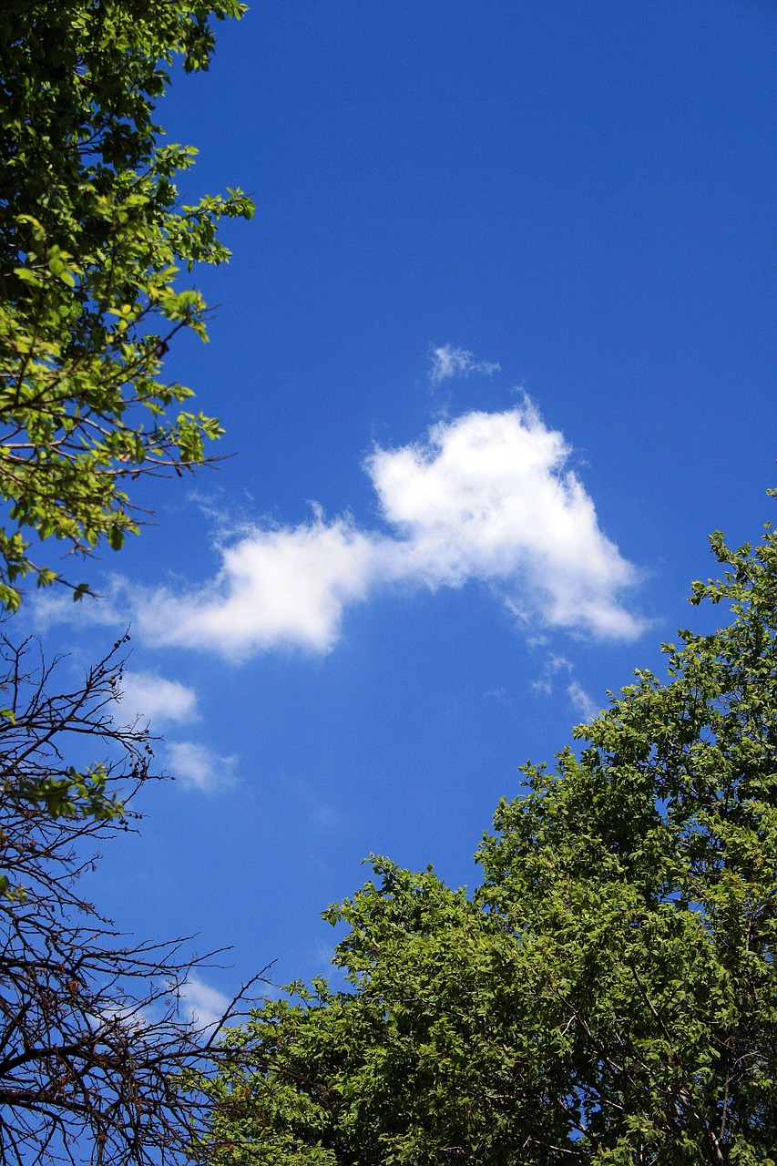 blue sky sky blue free photo