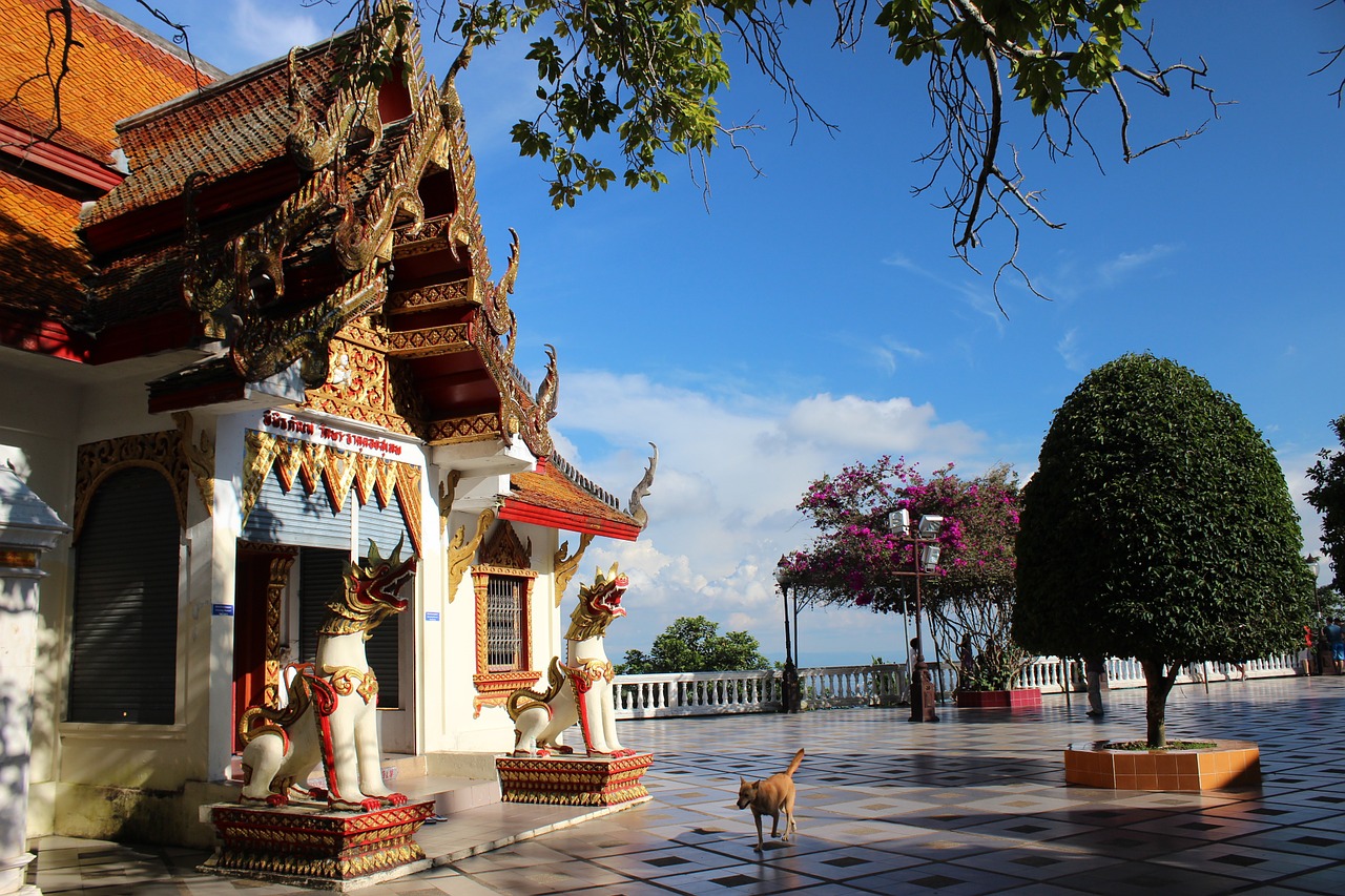 blue sky temple dog free photo