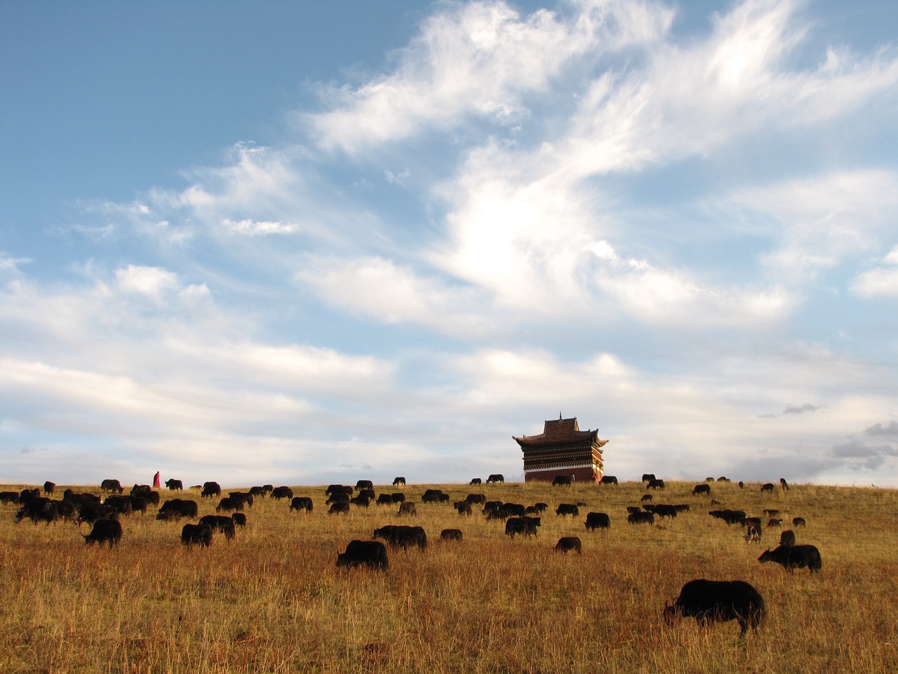 blue sky herd artistic conception free photo