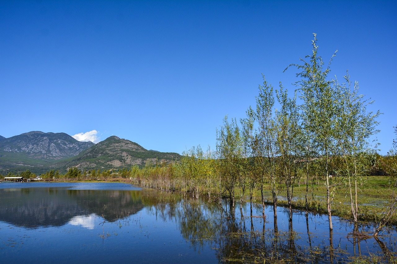 blue sky white cloud mountain free photo