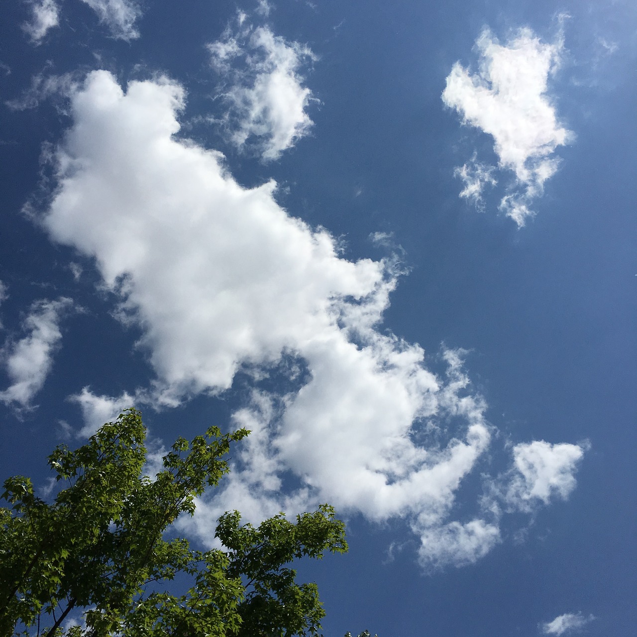 blue sky and white clouds good weather blue skies free photo