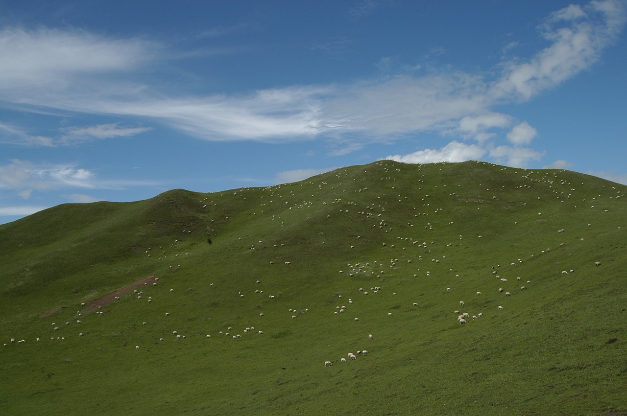 blue sky and white clouds mountain the flock free photo