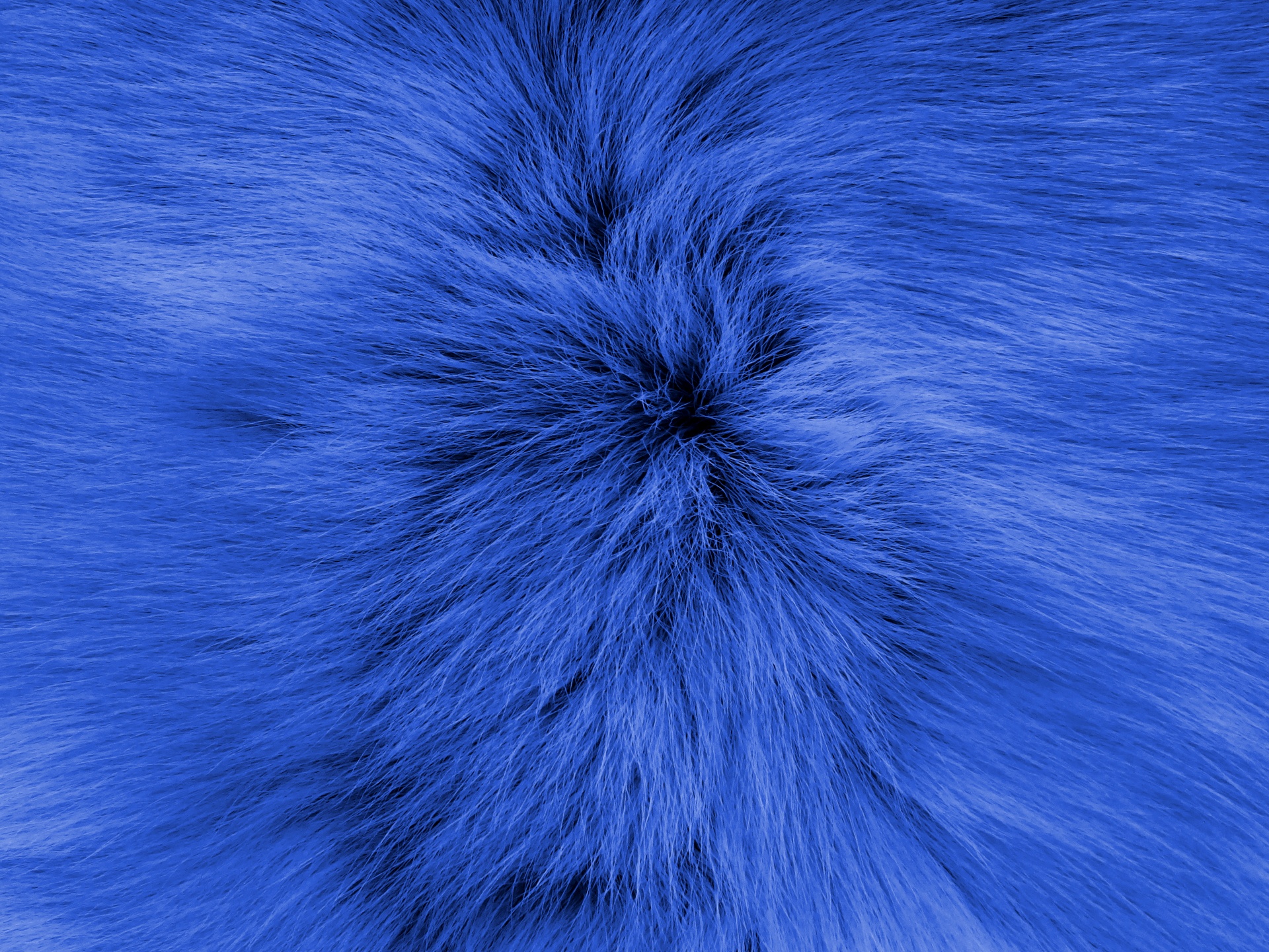 Blue Backgrounds Fur Furry Effect Free Image From
