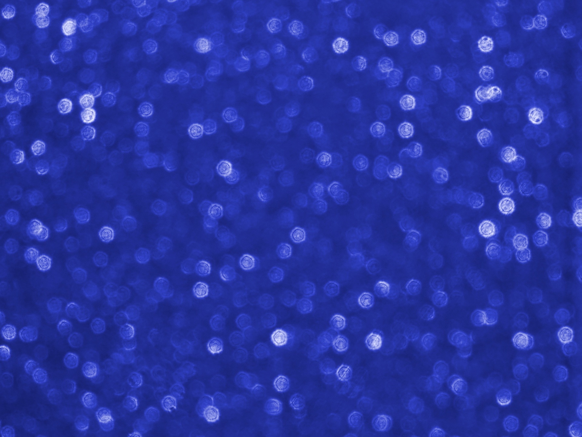 blue backgrounds sparkle free photo