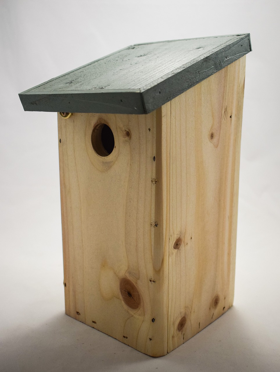 blue tit nest box nest box bird box free photo