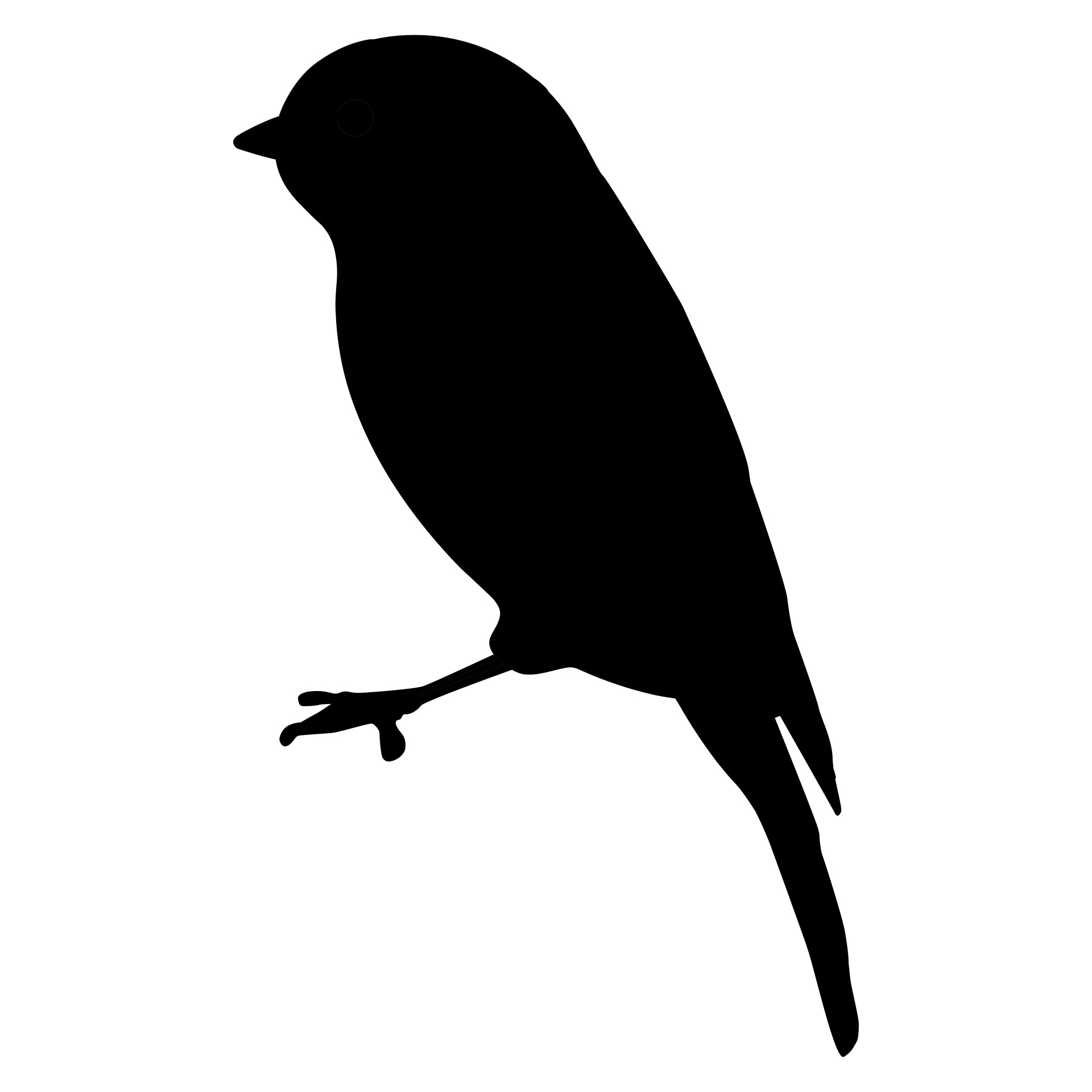 Тень птицы. Силуэт птицы. Черный силуэт птицы. Силуэтное изображение птиц. Силуэт синицы.