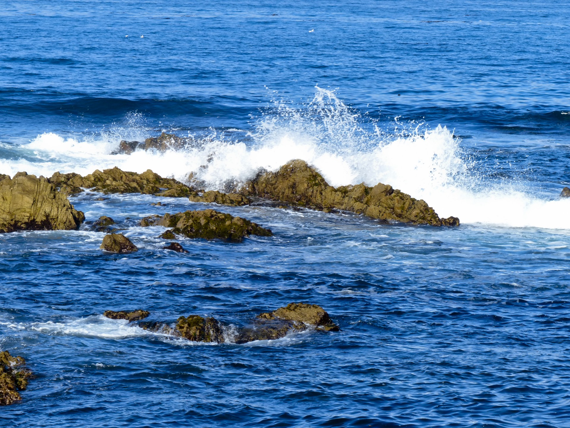 ocean surf white caps free photo