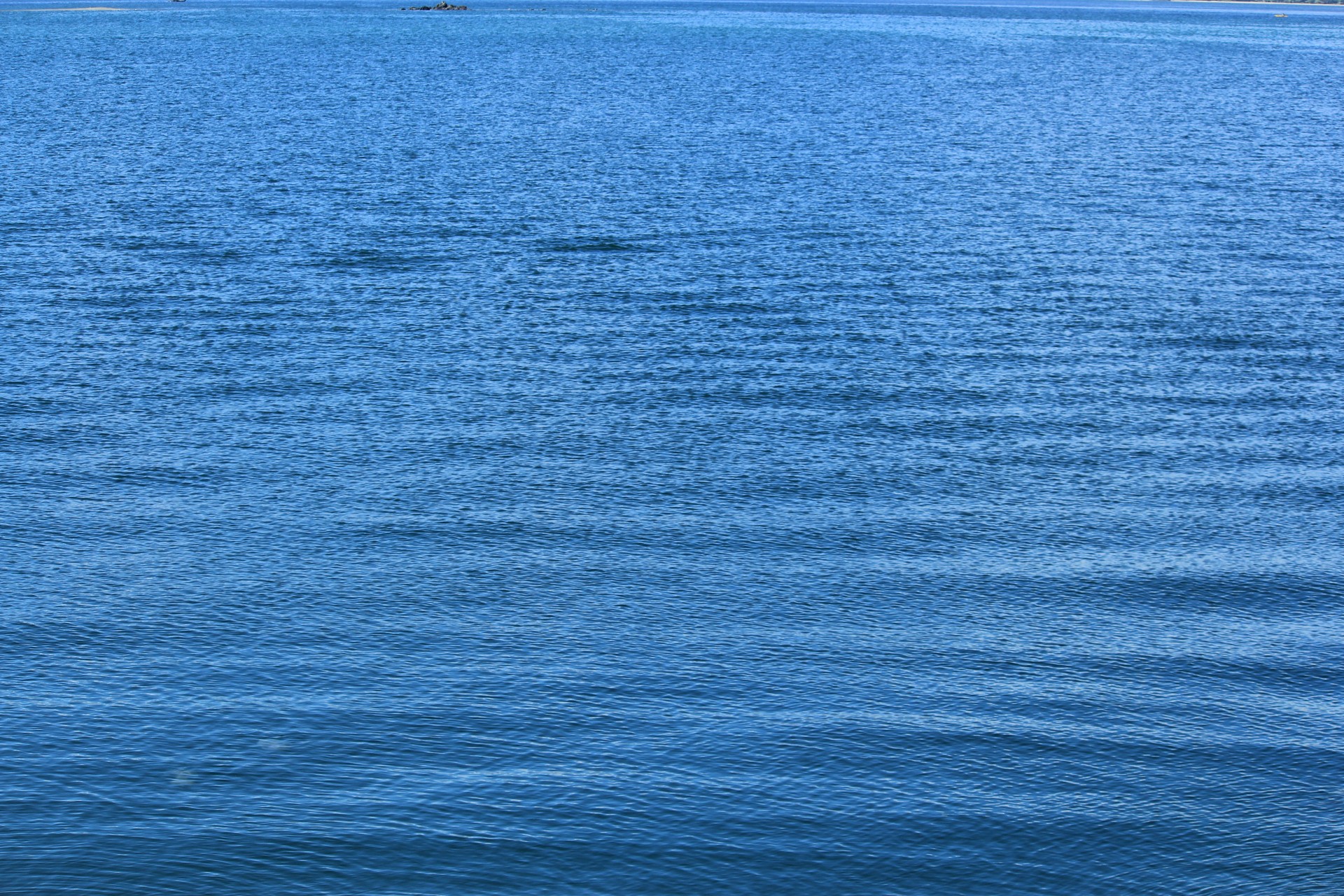 blue water background blue water free photo