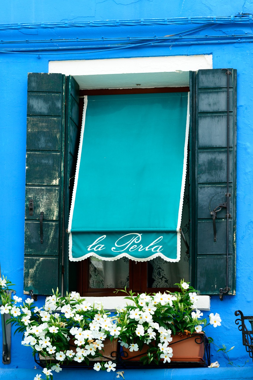 blue window home balcony plants free photo