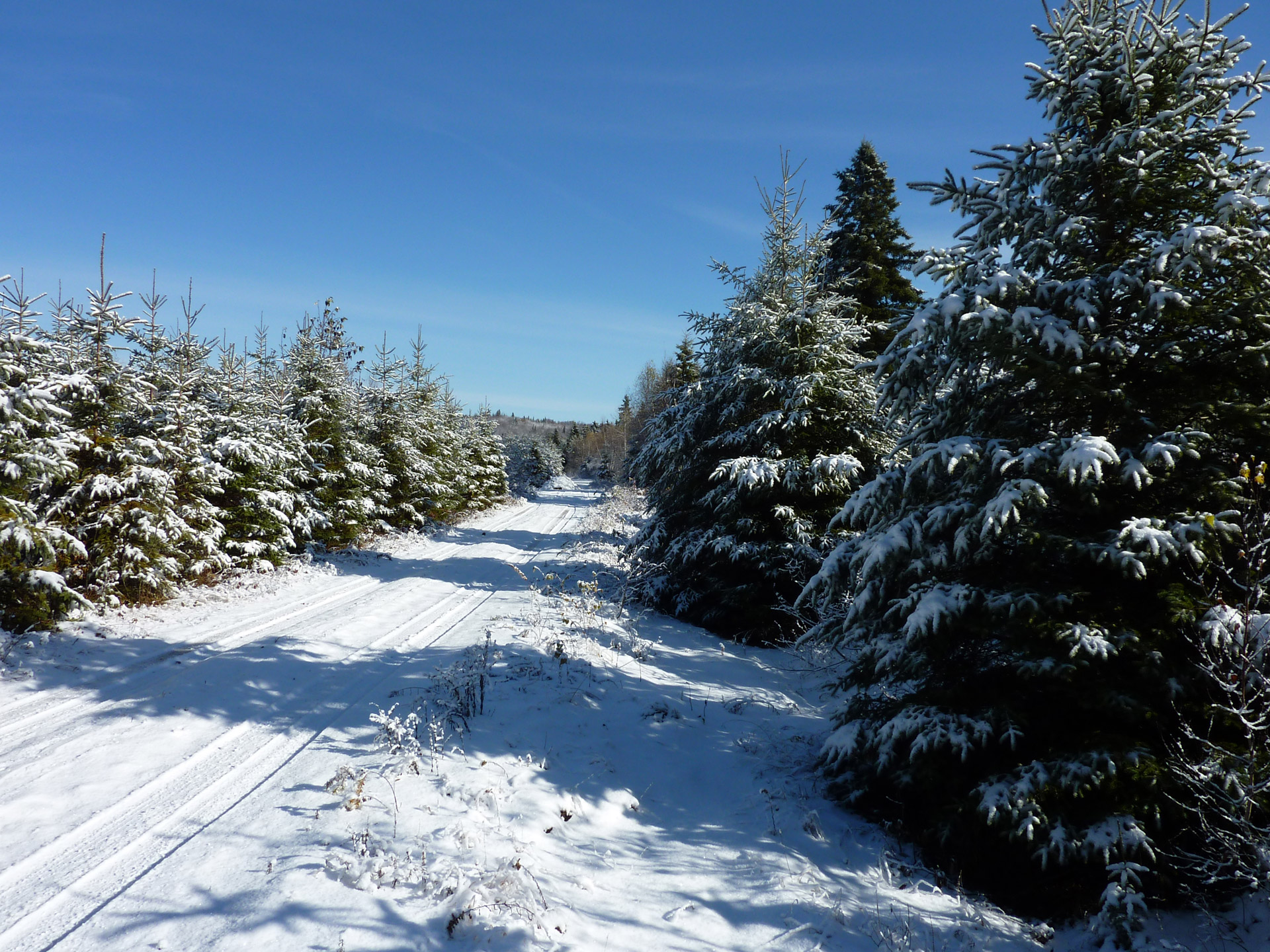 winter snow sky free photo