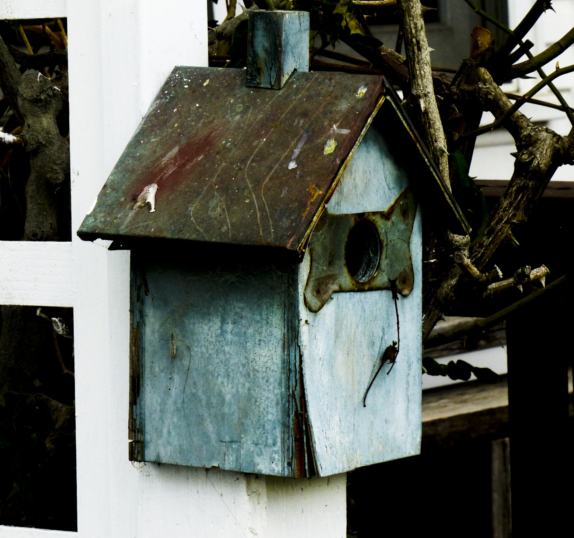 birdhouse blue wooden free photo