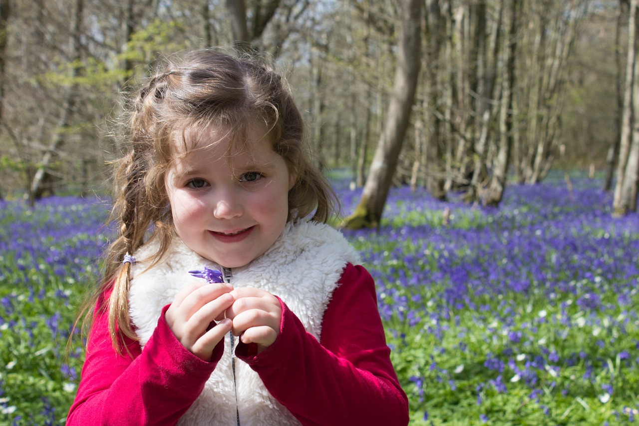 bluebells woods english free photo