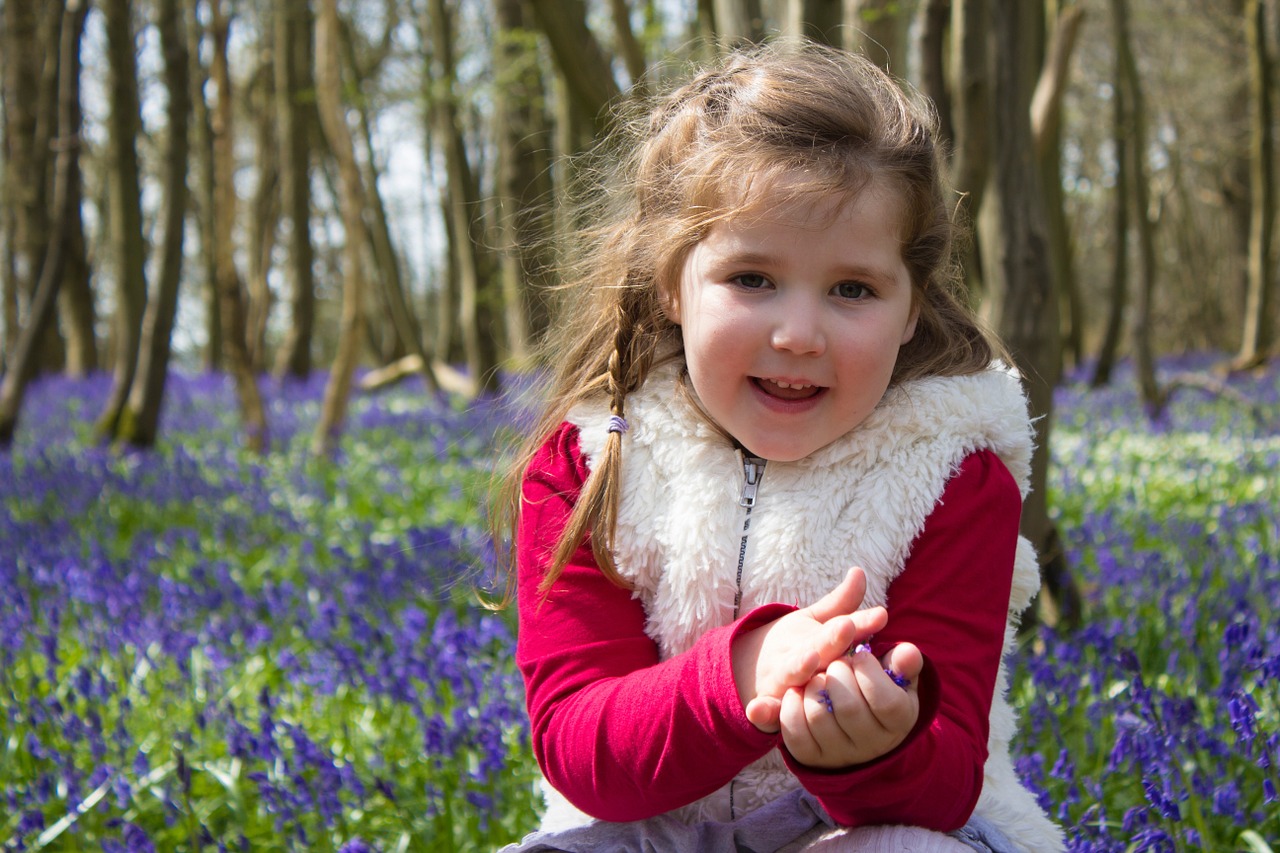 bluebells woods english free photo