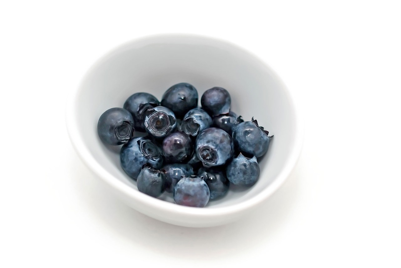 blueberries delicious juicy free photo