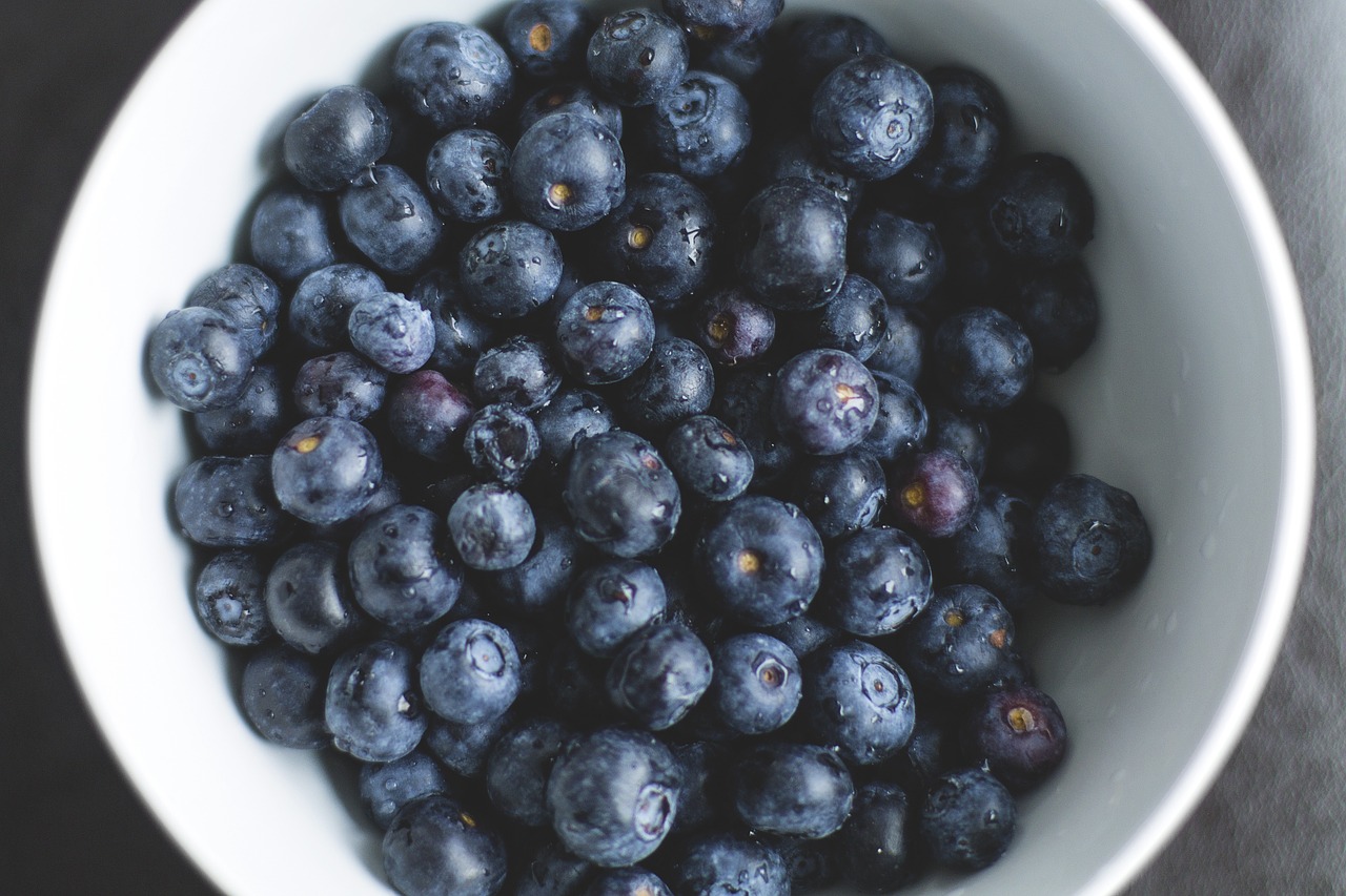 blueberries healthy berries free photo