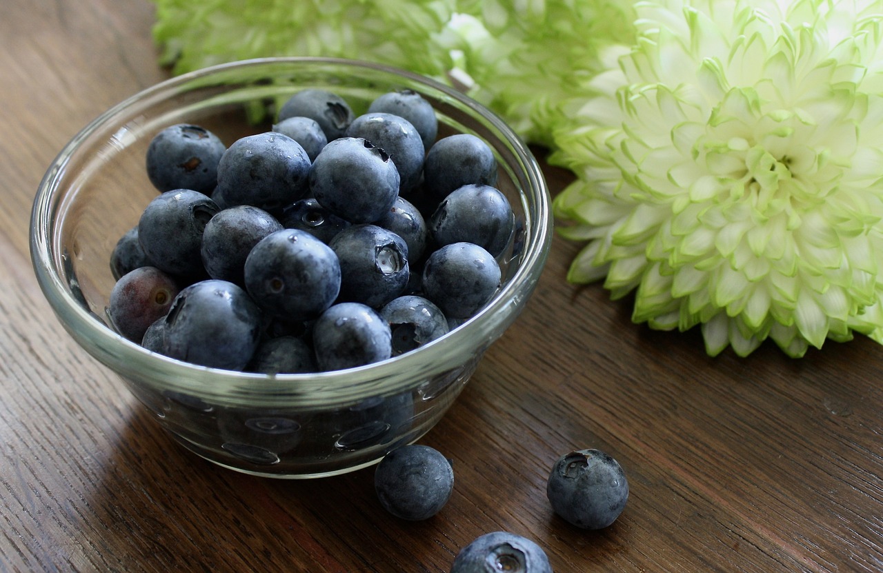 blueberries bowl ingredients free photo