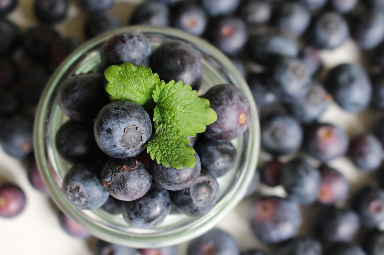 blueberries berries fruit free photo