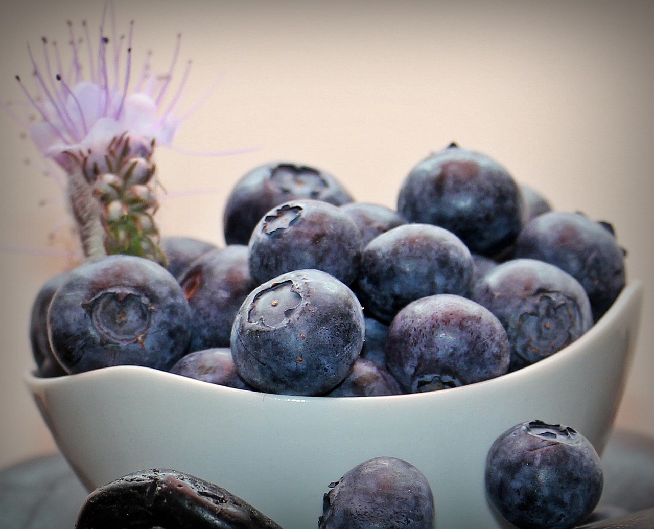 blueberries fruits fruit free photo
