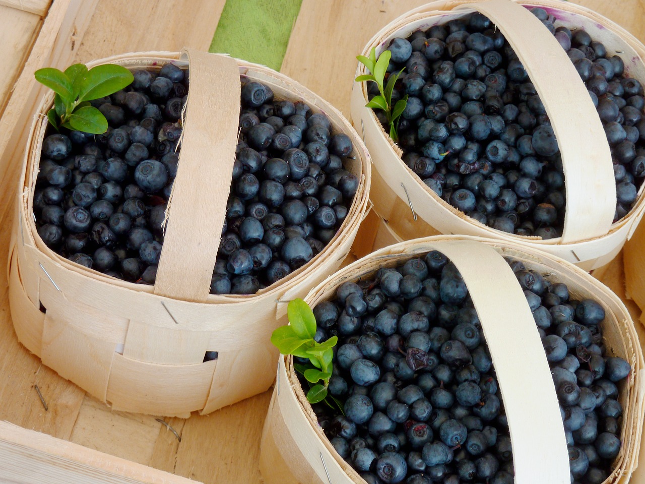 blueberries delicious fruit free photo