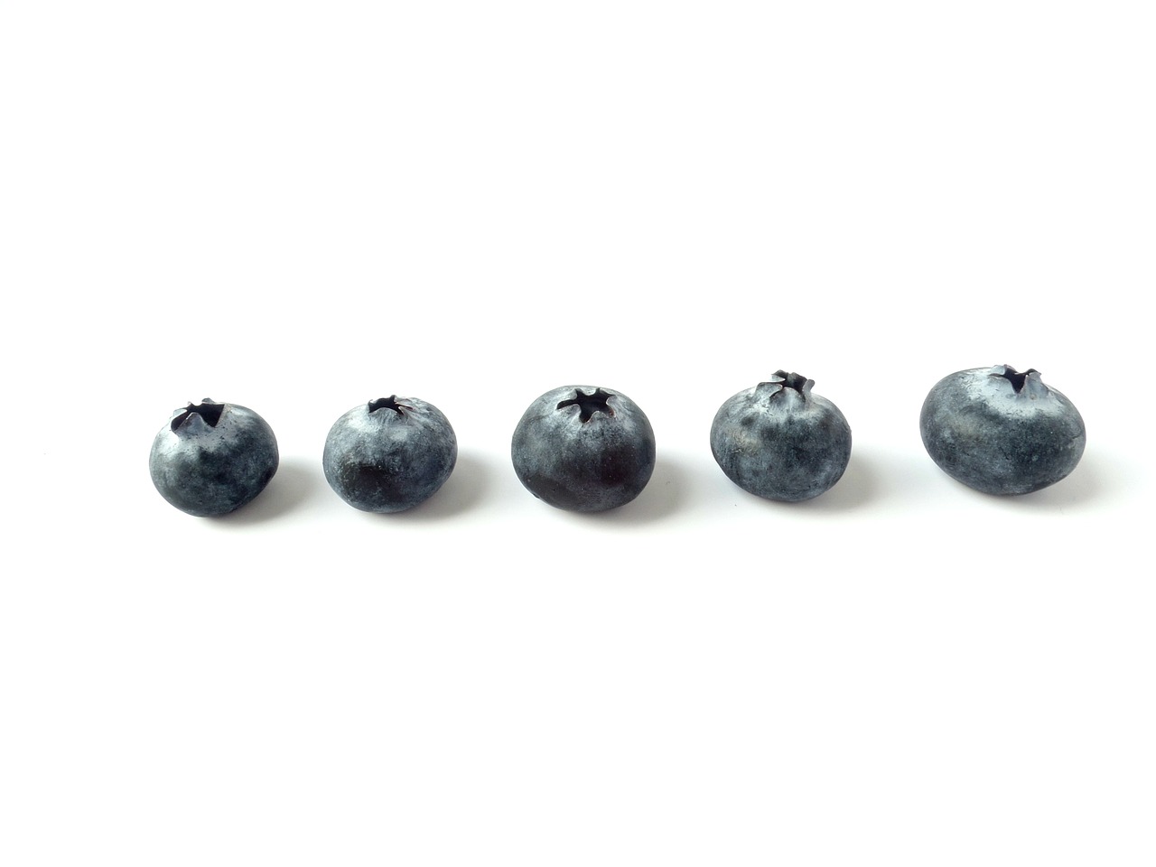 blueberries fruit fruits free photo