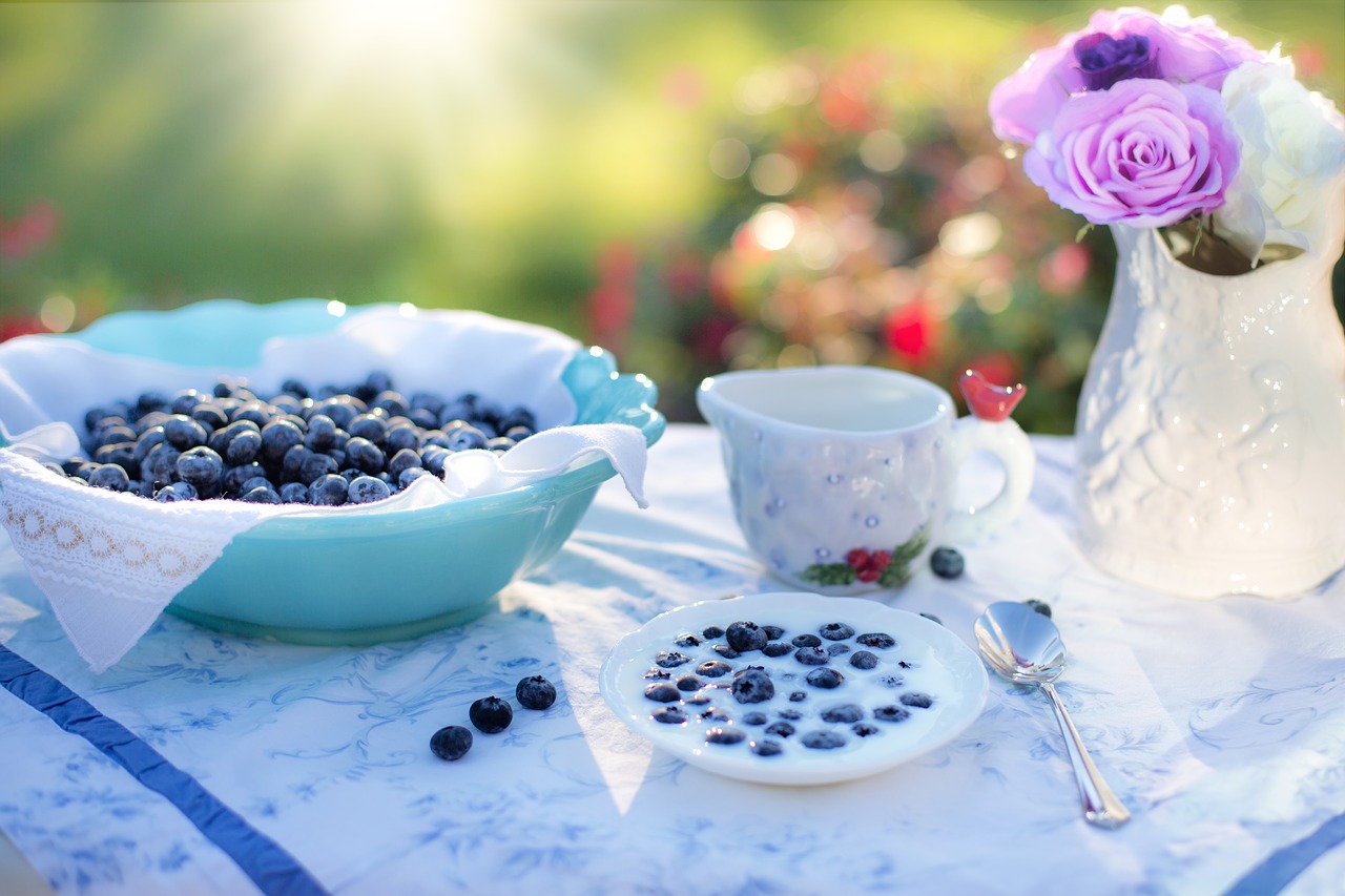 blueberries cream dessert free photo