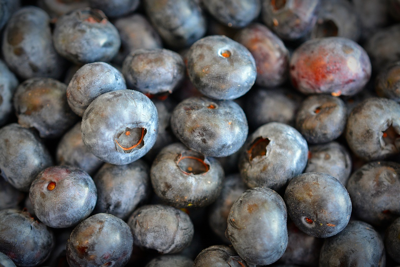 blueberries fruit delicious free photo