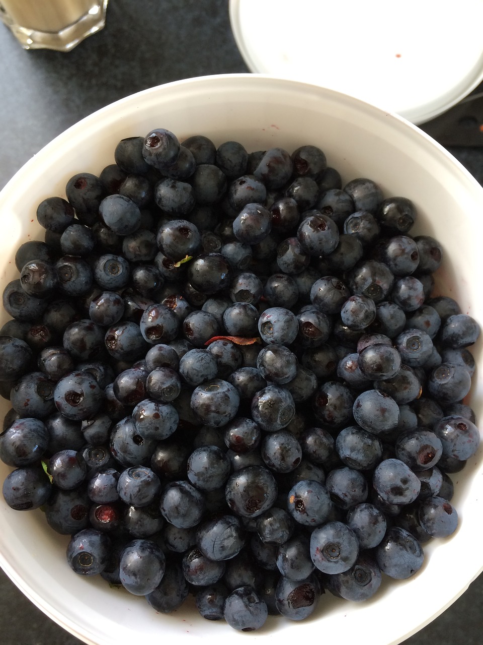 blueberries berry picking blueberry bucket free photo