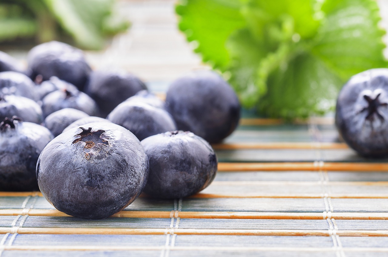 blueberries close-up food free photo