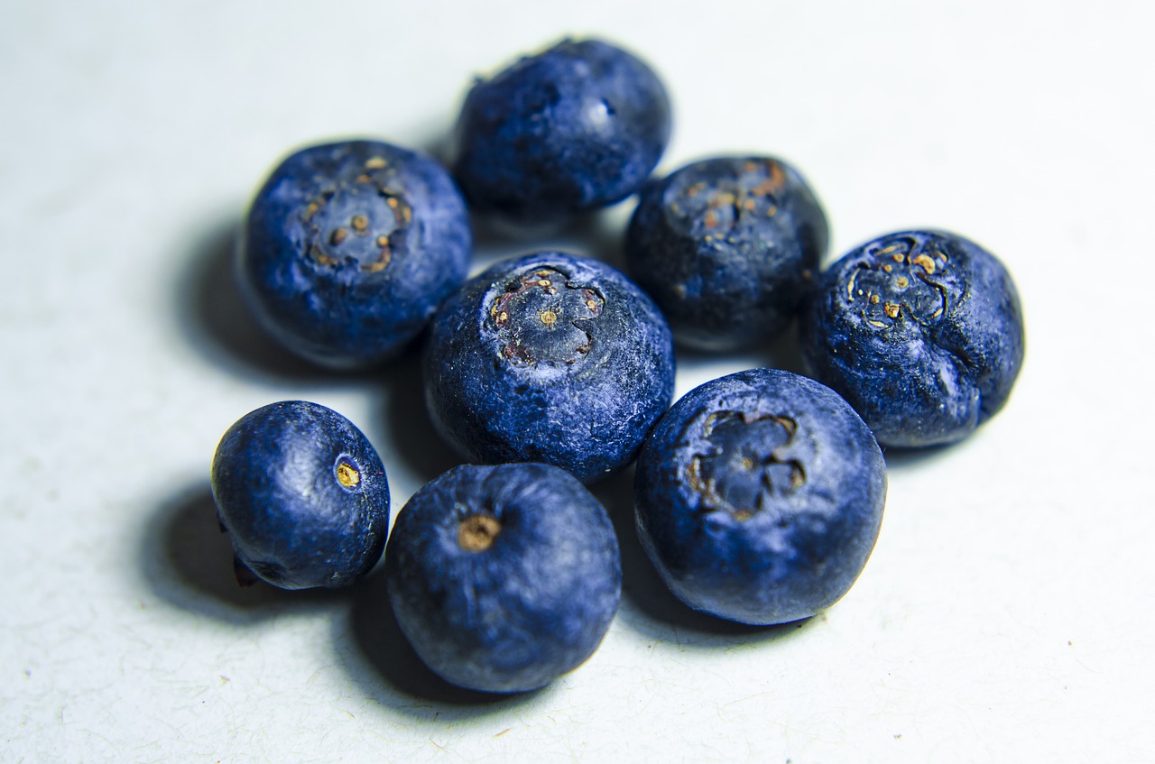 blueberries blueberry fruit free photo