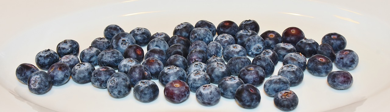 blueberries berry fruit food free photo