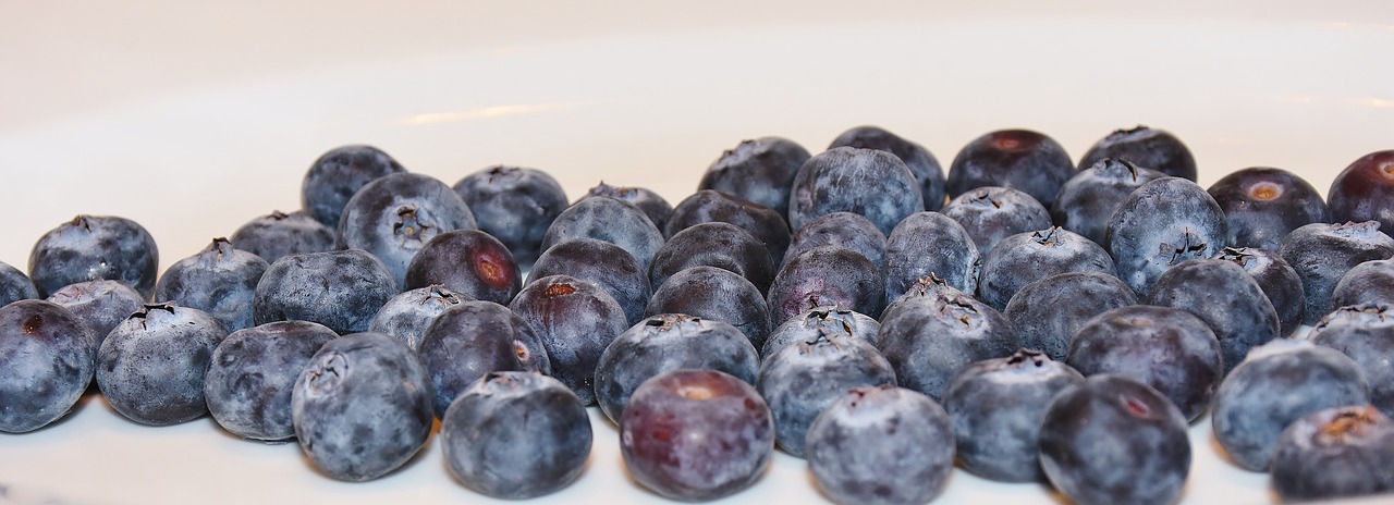 blueberries berry fruit food free photo