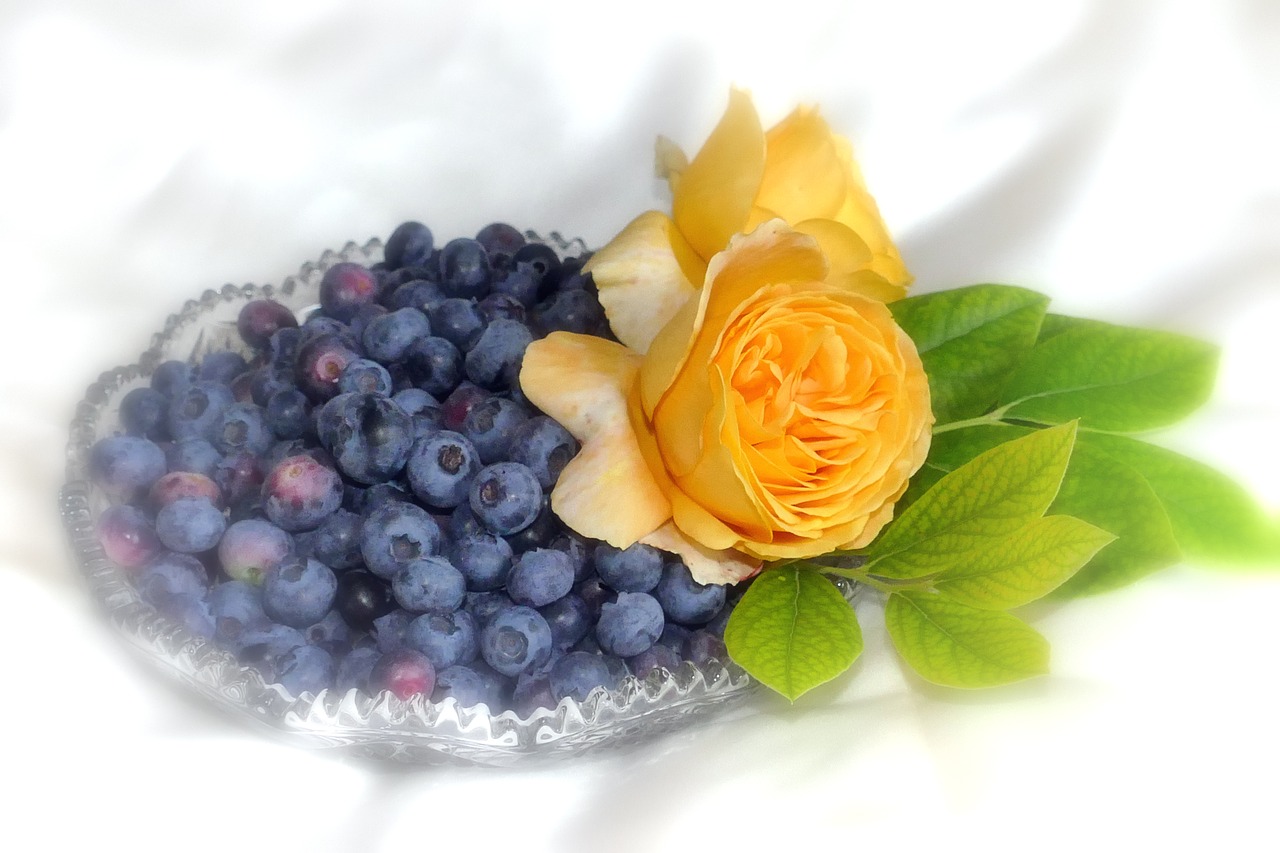 blueberries fruit roses free photo