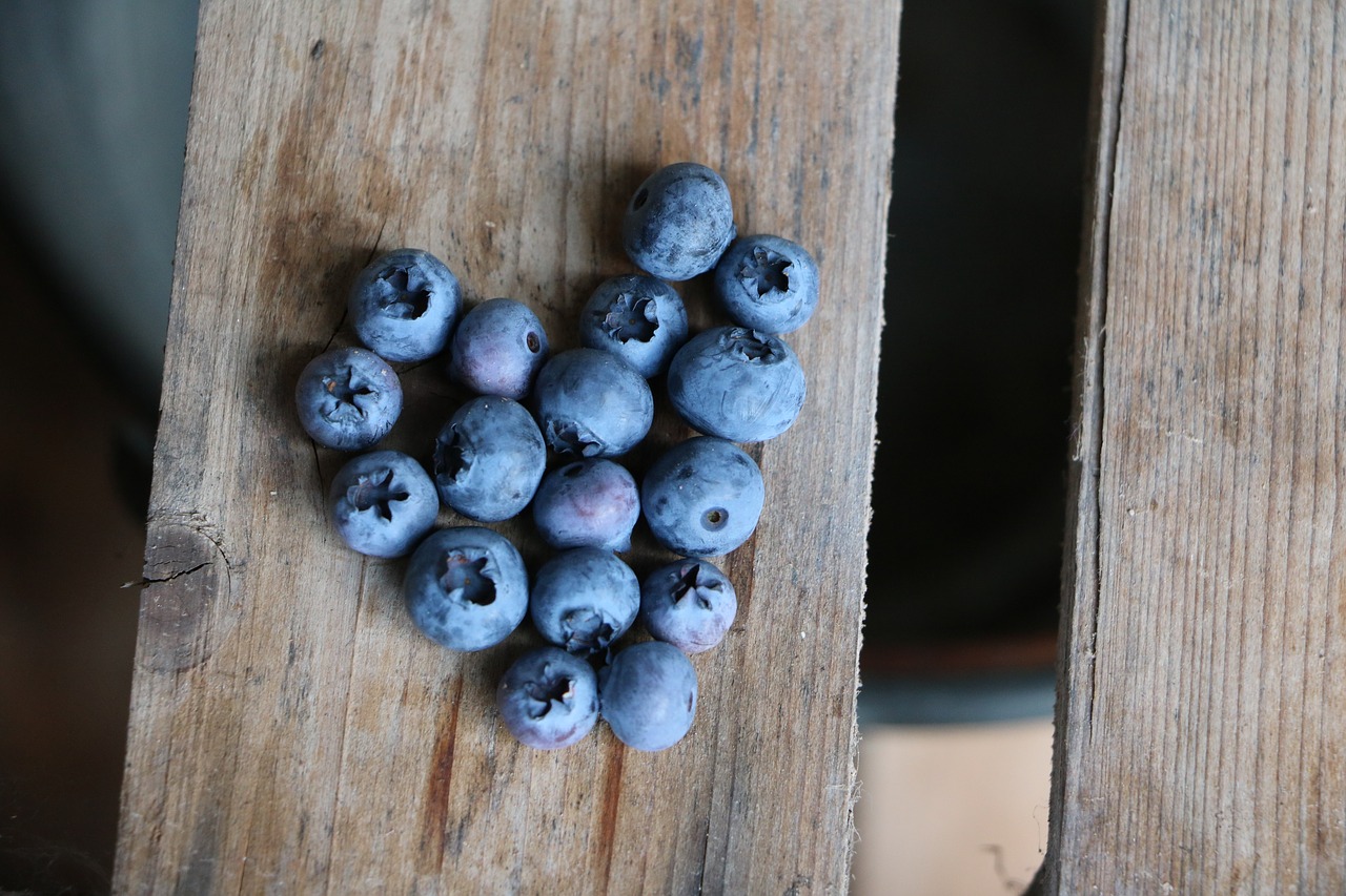 blueberries heart obstkiste free photo