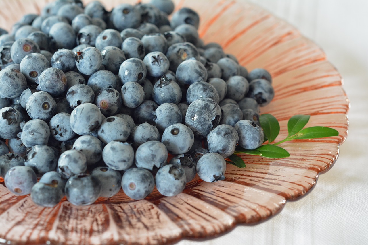 blueberries bilberry berries free photo