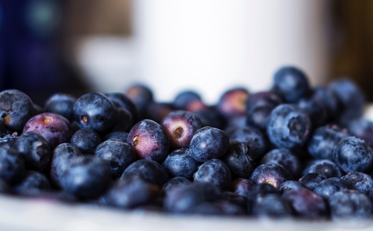 blueberries berry fruits free photo