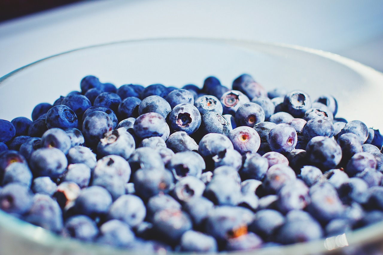 blueberries fruits bowl free photo