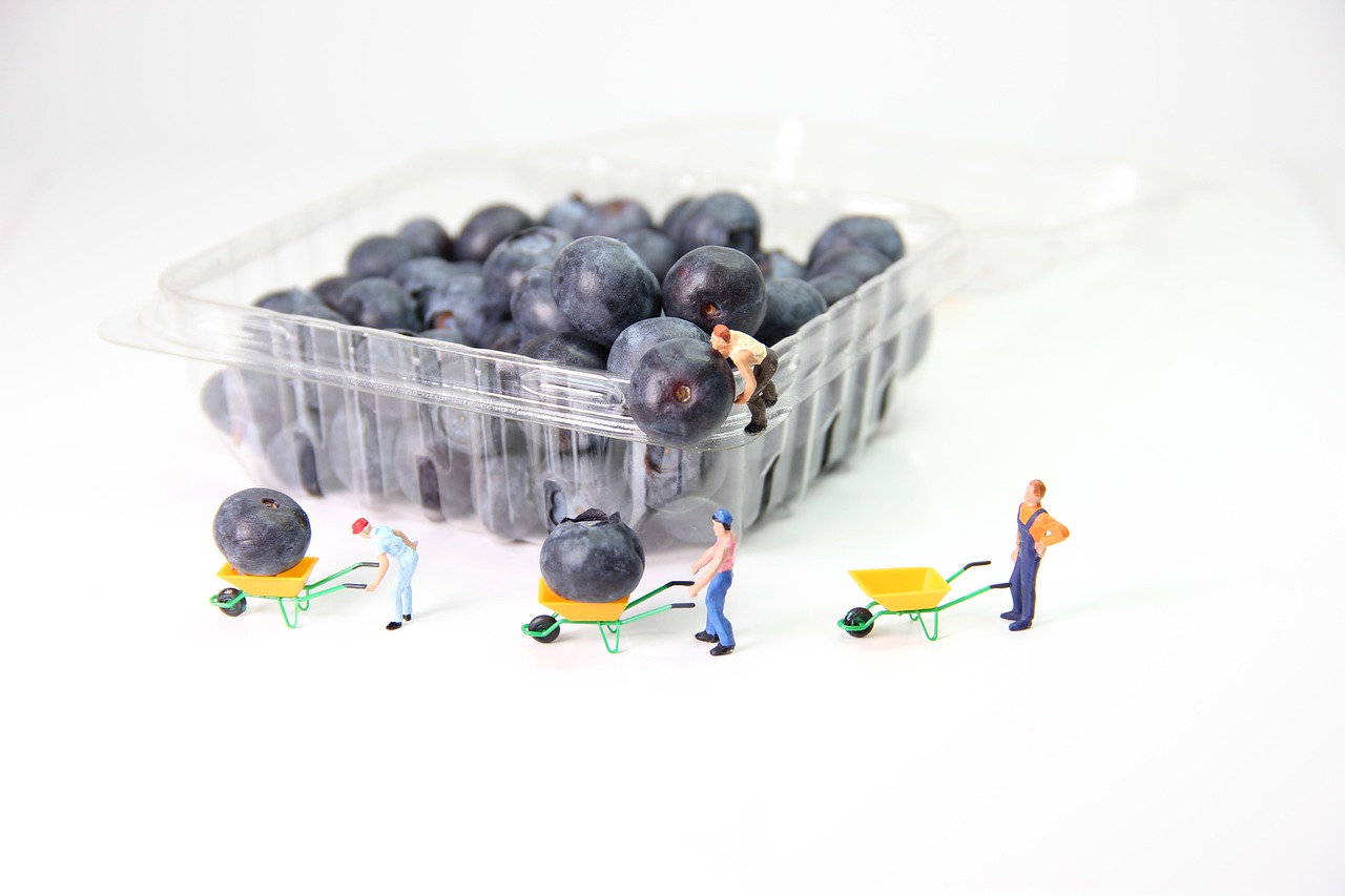 blueberries transport miniature figures free photo