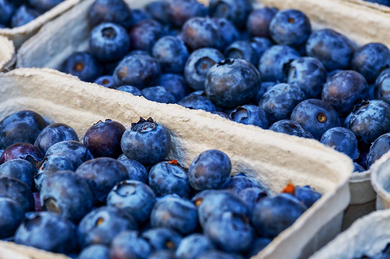 blueberries  berries  fruit free photo