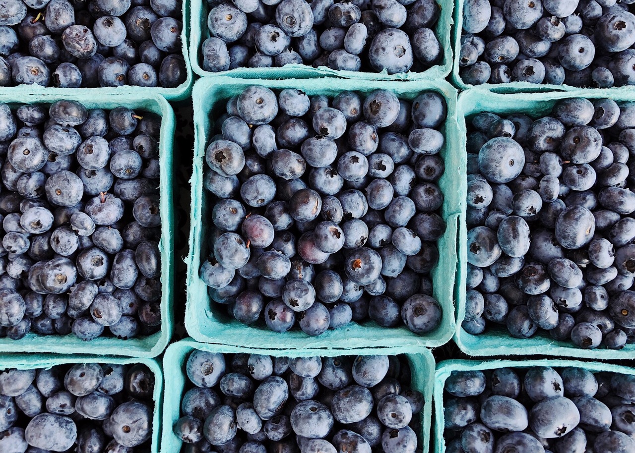 blueberries  berries  fruit free photo