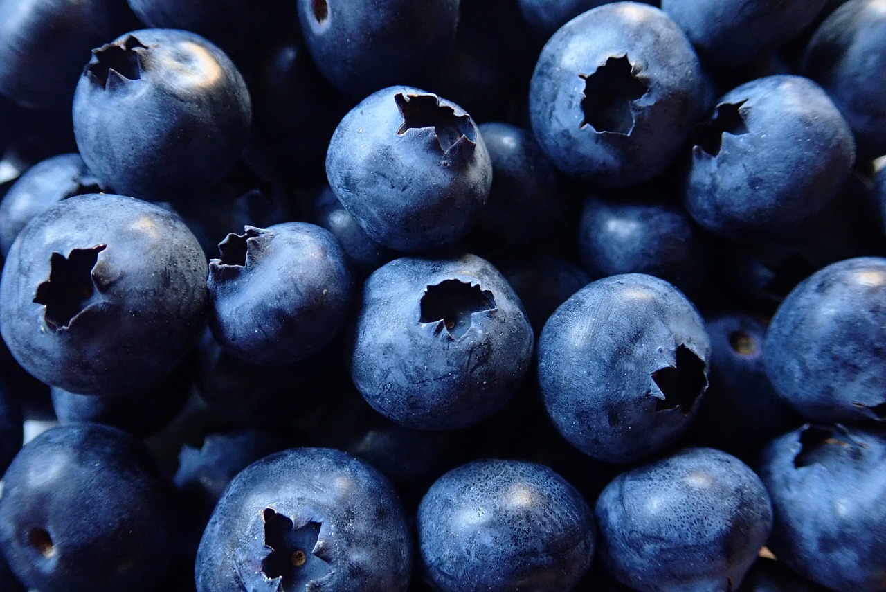 blueberries  fruit  healthy free photo