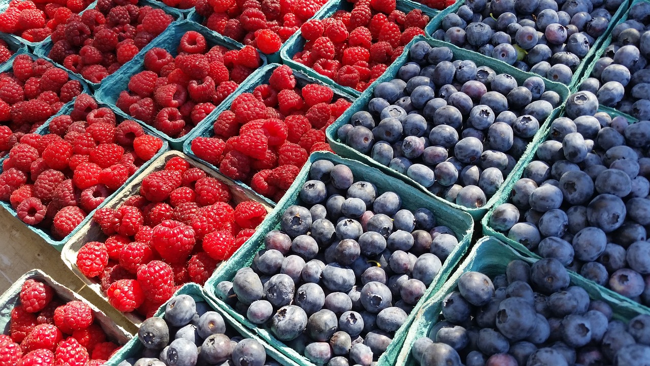 blueberries  blueberry  fruit free photo